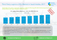 1 Third Party Logistics (3PL) Market in Saudi Arabia, 2017